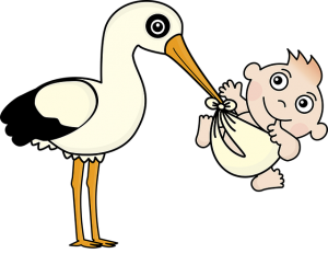 stork and baby