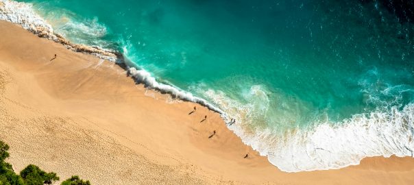 Aerial view of beach and sea with people